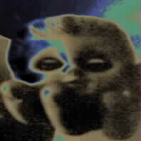 DISPOSITIVO ALTERACION MENTAL