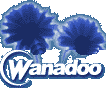 WANADOO